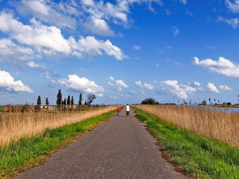 ciclisti lungo l'argine